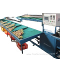 Tomato And Grading And Packaging Machine